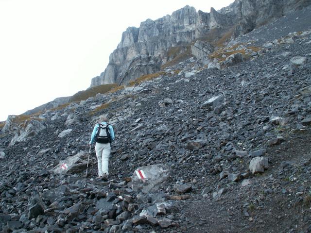 Mäusi im Geröllhang bei Punkt 2256 m.ü.M.