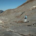 über vom Gletscher glatt geschliffener Fels führt uns der Weg abwärts
