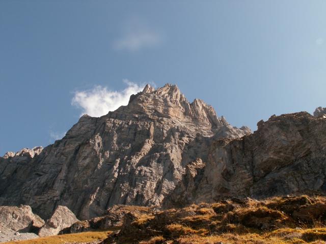 Blick rauf zum Uri-Rotstock