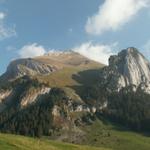 Blick rauf zum Wildhuser Schafberg