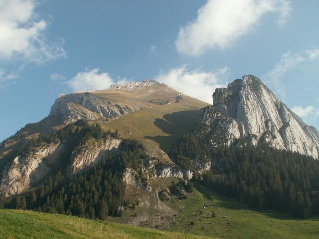 Blick rauf zum Wildhuser Schafberg