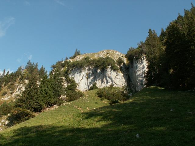 der Pfad geht links zwischen den Tannen aufwärts