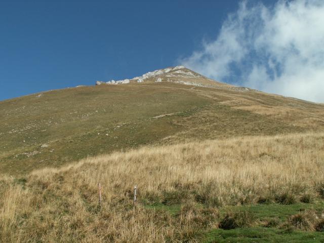 weiter über Schafweiden aufwärts Richtung Wildhuser Schafberg