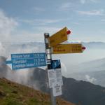 wir gehen weiter aufwärts Richtung Schafberg