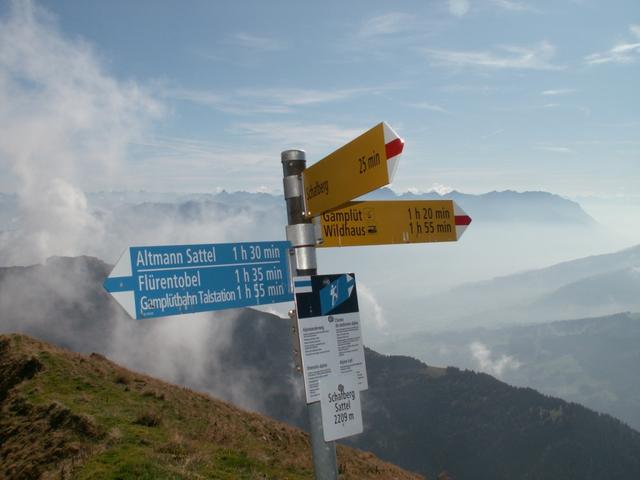 wir gehen weiter aufwärts Richtung Schafberg