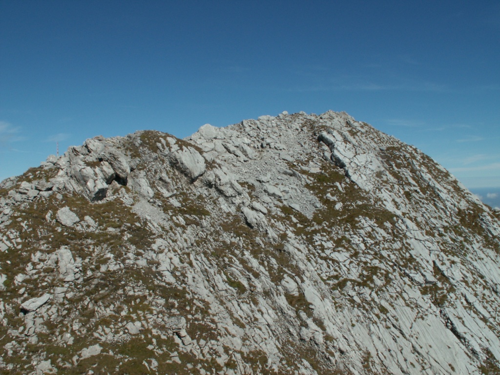 wir haben den Wildhuser Schafberg auf 2373 m.ü.M. erreicht