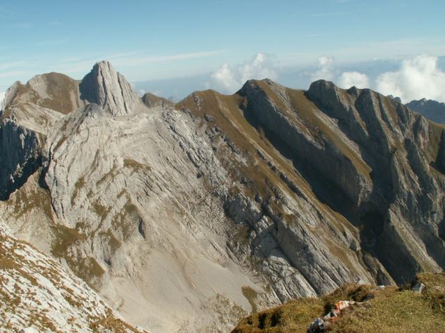 im Hintergrund der Altmann. Tief unter uns der Wildhuser Schafboden