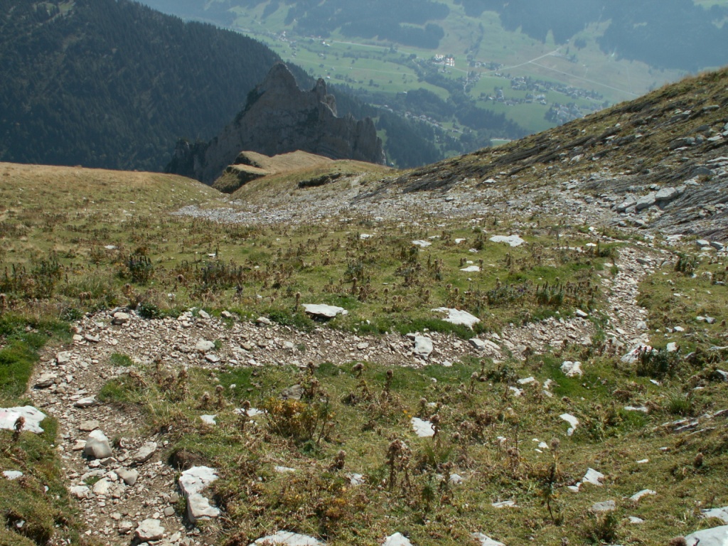 bei Nässe ist der Wildhuser Schafberg zu meiden zu steil und rutschig