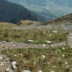 bei Nässe ist der Wildhuser Schafberg zu meiden zu steil und rutschig