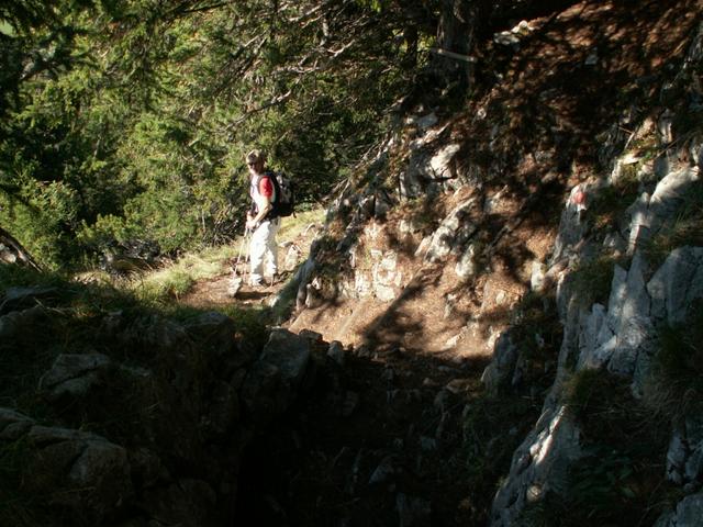 Mäusi beim Schafbergsteig