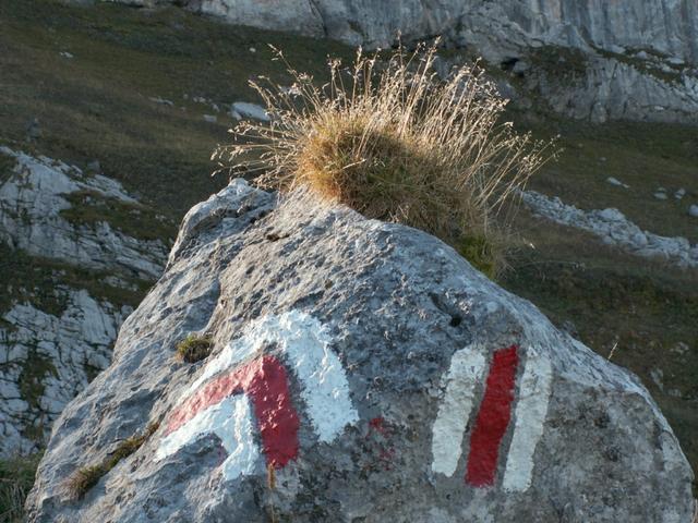 die Markierungen sind allgegenwärtig