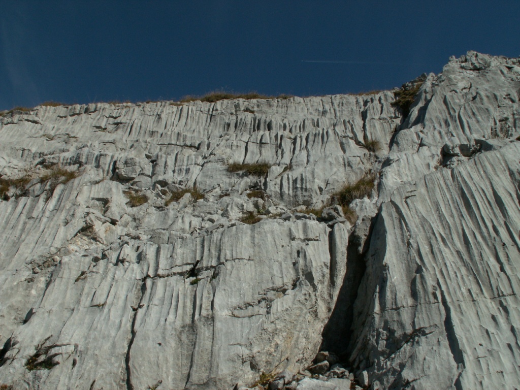 Blick aufwärts zur Kalkwand der Silberen