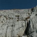 Blick aufwärts zur Kalkwand der Silberen