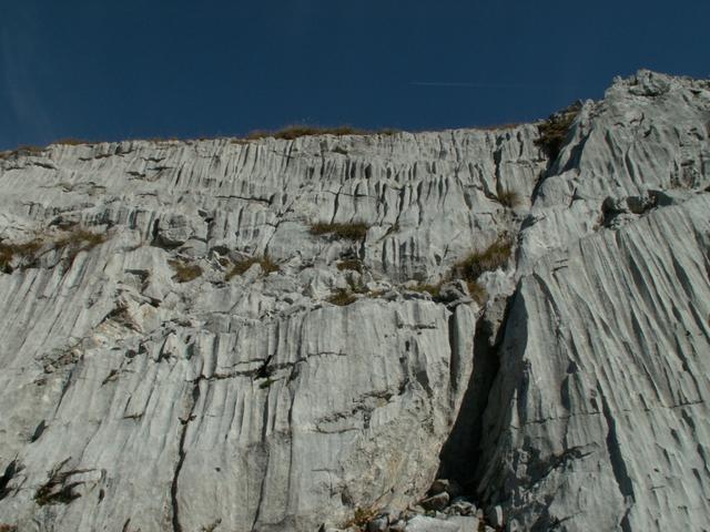 Blick aufwärts zur Kalkwand der Silberen