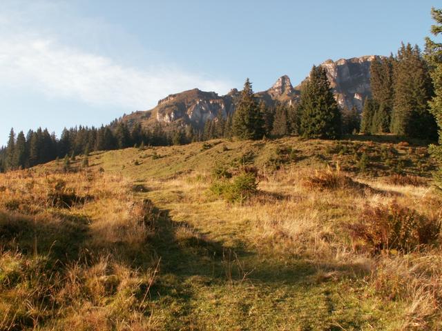 über Weiden führt der Weg nun aufwärts