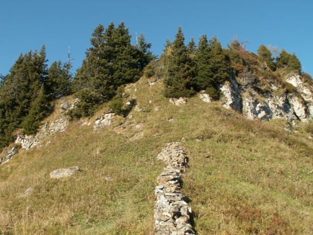 Bei Punkt 1892 m.ü.M.