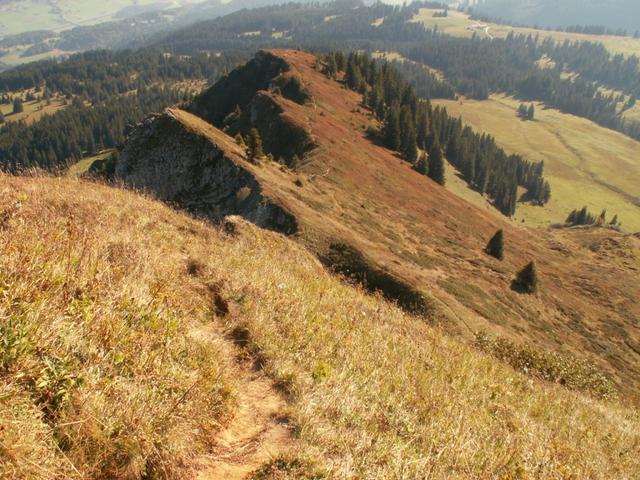 Blick zurück