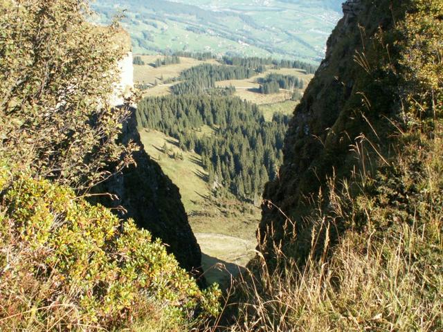 Tiefblicke am Wegesrand