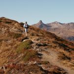 Mäusi auf dem Grat. Im Hintergund der Spitzmeilen