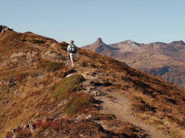 Mäusi auf dem Grat. Im Hintergund der Spitzmeilen