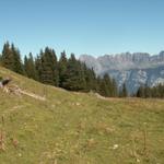 bei Punkt 1709 m.ü.M. bogen wir am Morgen zum Guscha ab