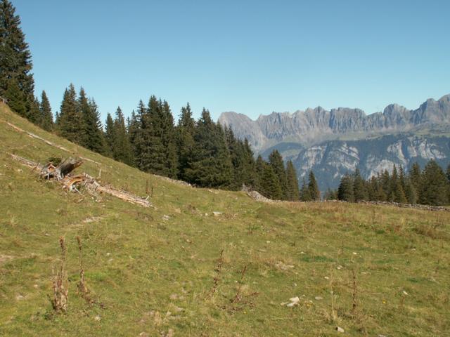 bei Punkt 1709 m.ü.M. bogen wir am Morgen zum Guscha ab