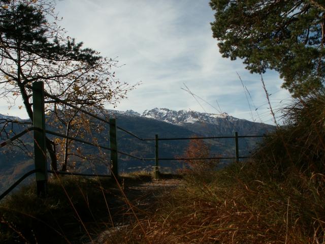 Blick zum verschneiten Pizol Punkt 617 m.ü.M.