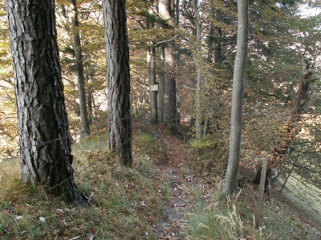 am Rande des Abgrund, geht es Richtung Hinter Ochsenberg