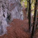 direkt an der Felswand, führt der Weg nun runter ins Elltal