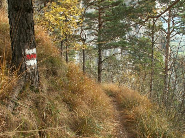 der Weg wird nun endlich ein bisschen abenteuerlicher als bisher