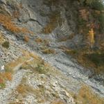 beim Mozentobel