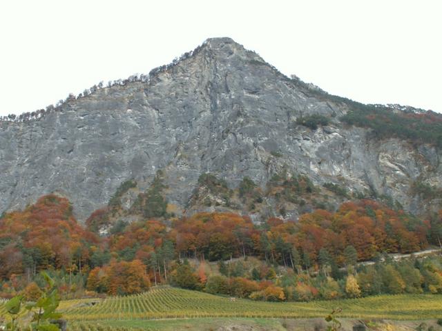 Blick rauf zum Regitzer Spitz