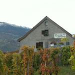 wir sind nach der Wanderung in der Weinstube "zum alten Torkel" in Jenins eingekehrt