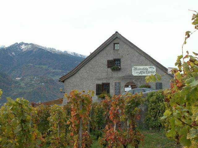 wir sind nach der Wanderung in der Weinstube "zum alten Torkel" in Jenins eingekehrt