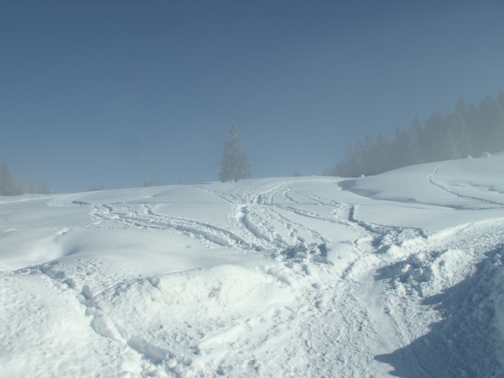 direkt beim Parkplatz startet der Jänzi Panorama Trail