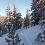 zum Glück hat es im Tiefschnee schon Spuren