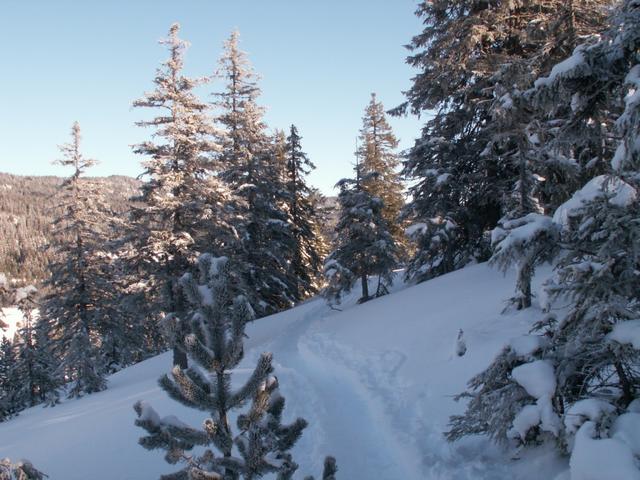 zum Glück hat es im Tiefschnee schon Spuren