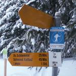 Wegweiser bei der Waldhütte Egg 1611 m.ü.M.