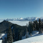 Breitbildfoto bei Jänzi, mit Blick  Richtung Pilatus und Säntis