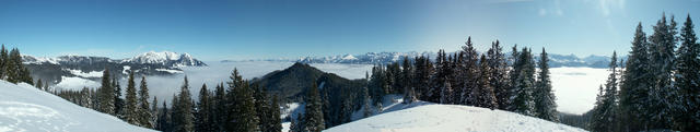 Breitbildfoto bei Jänzi, mit Blick  Richtung Pilatus und Säntis