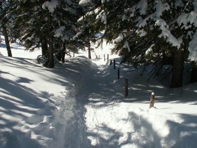 zuerst über breite Schneeschuhspuren