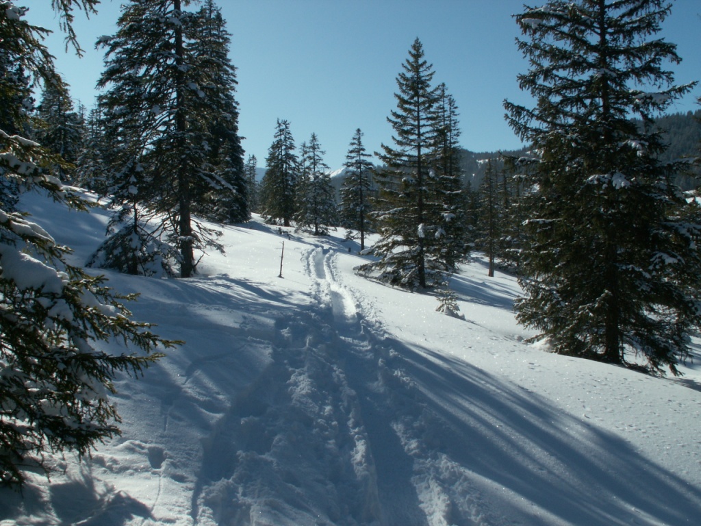 Blick zurück, unsere Spur