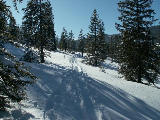 Blick zurück, unsere Spur