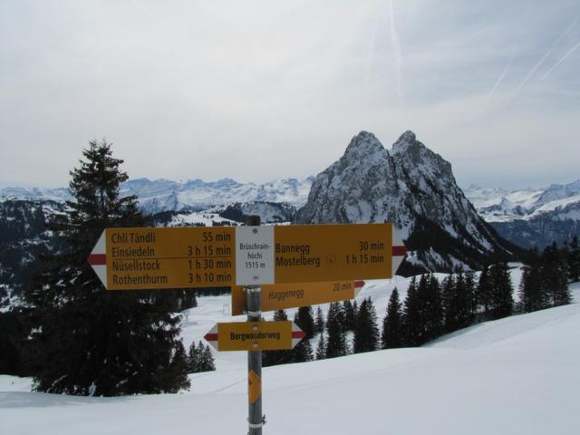 Wegweiser bei Brüschrainhöchi 1717 m.ü.M.