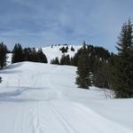 auf der Skipiste führt der Weg Richtung Hochstuckli