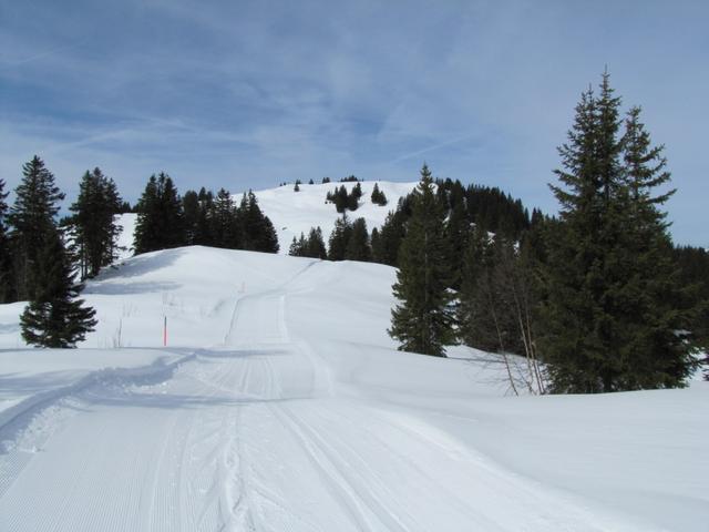 auf der Skipiste führt der Weg Richtung Hochstuckli