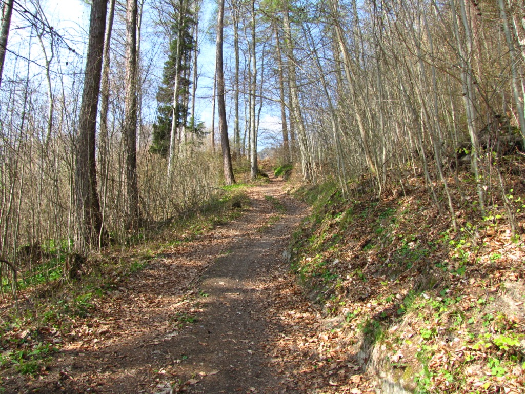 durch den Wald aufwärts Richtung Munt