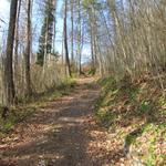 durch den Wald aufwärts Richtung Munt