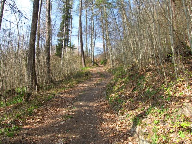 durch den Wald aufwärts Richtung Munt