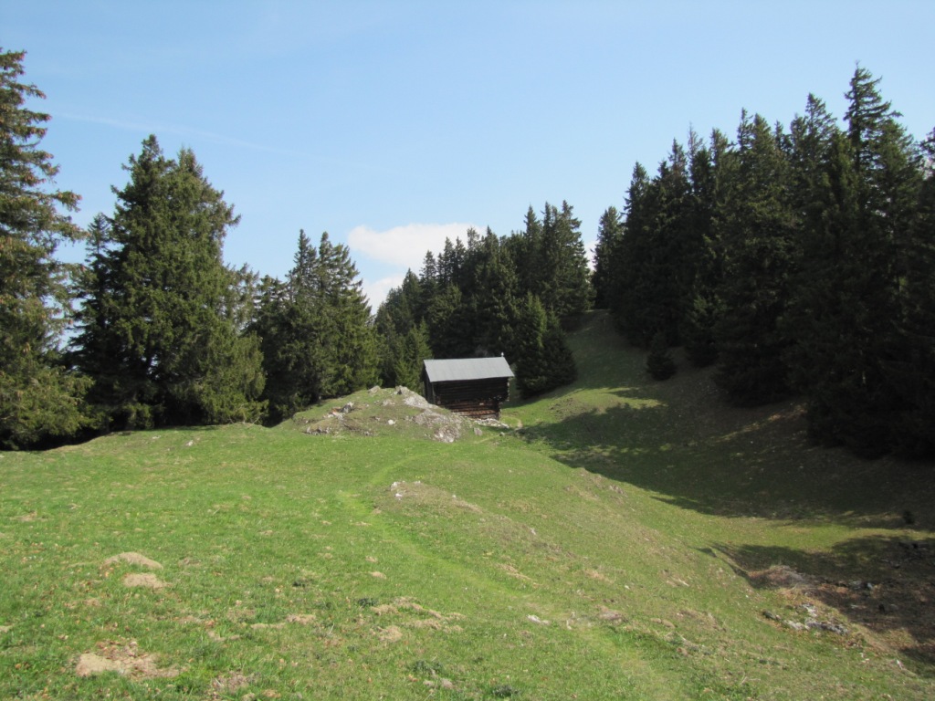 bei Punkt 1316 m.ü.M.